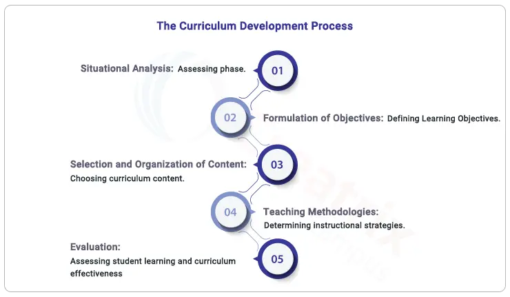 curriculum development process